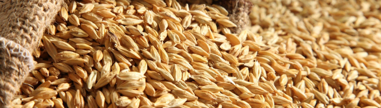 Китай вимагає зниження експорту канадського зерна