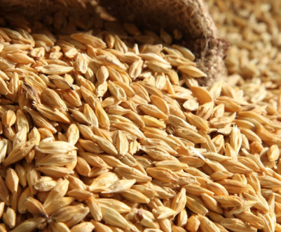 Китай вимагає зниження експорту канадського зерна