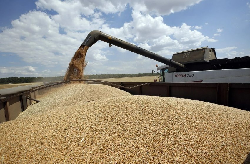 Китай вимагає зменшення експорту канадського зерна