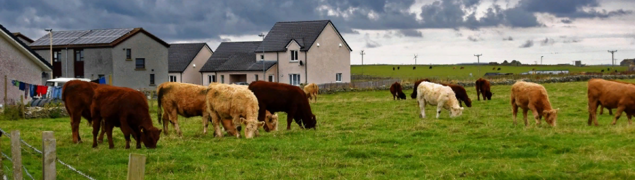 Фермерські господарства з нульовим бюджетом, можливо, не будуть гарним кроком для компаній з виробництва добрив