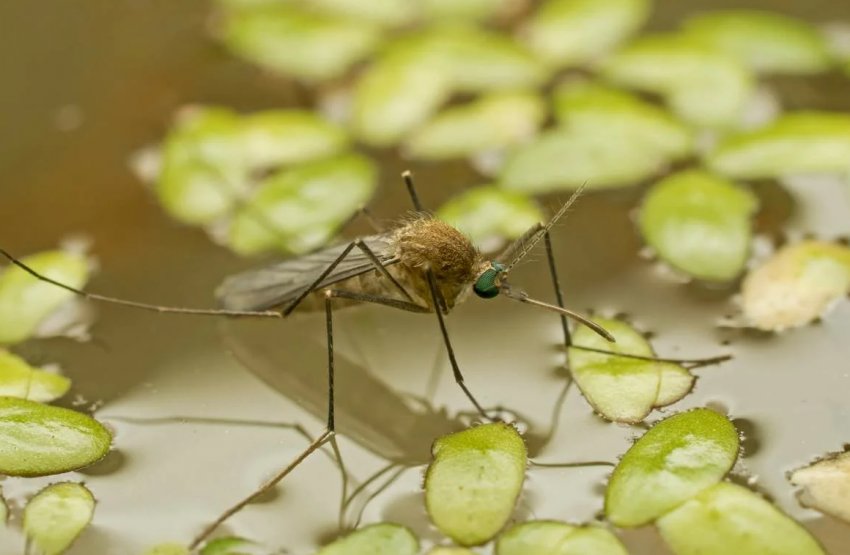 Фермерські господарства з нульовим бюджетом, можливо, не будуть хорошим кроком для компаній з виробництва добрив Фермерські господарства з нульовим бюджетом, можливо, не будуть хорошим кроком для компаній з виробництва добрив