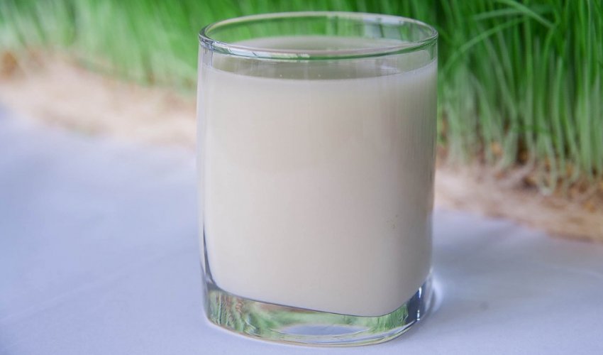 Молоко з пророслою пшеницею