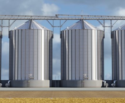 Як зберігати пшеницю різних сортів: терміни придатності та допустима вологість