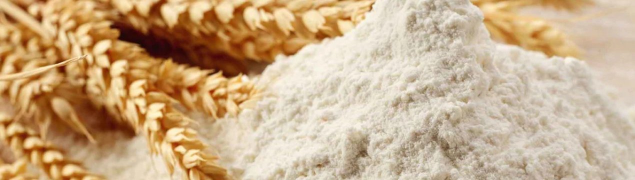 Опис пшеничного борошна: його корисні та шкідливі властивості