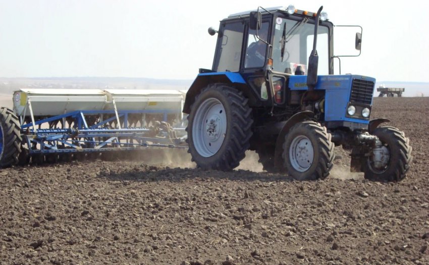 Посів озимої пшениці