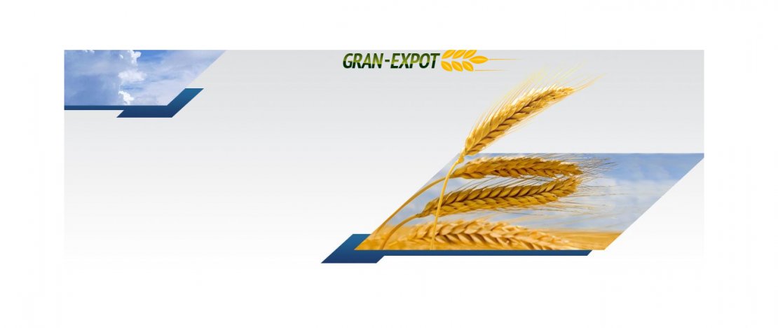 ООО «GrainExport»