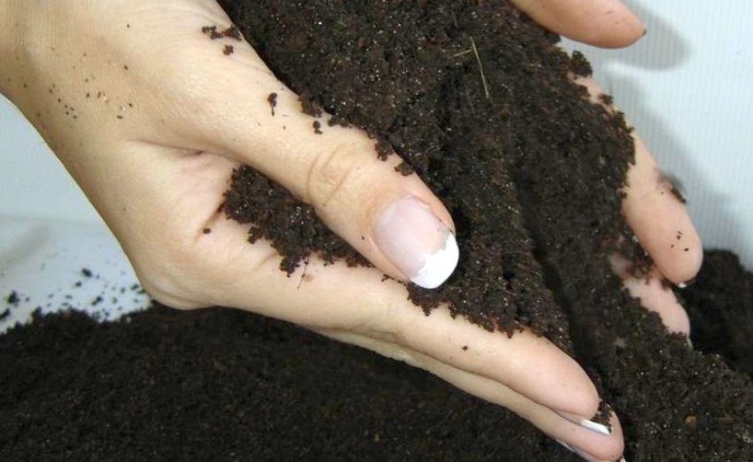 Грунт для каланхое Грунт для каланхое