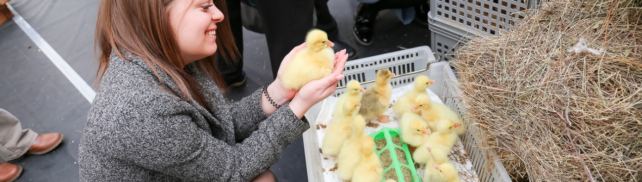 Найбільша в Сибіру виставка-ярмарок "Сибірська дача - 2020" запрошує учасників