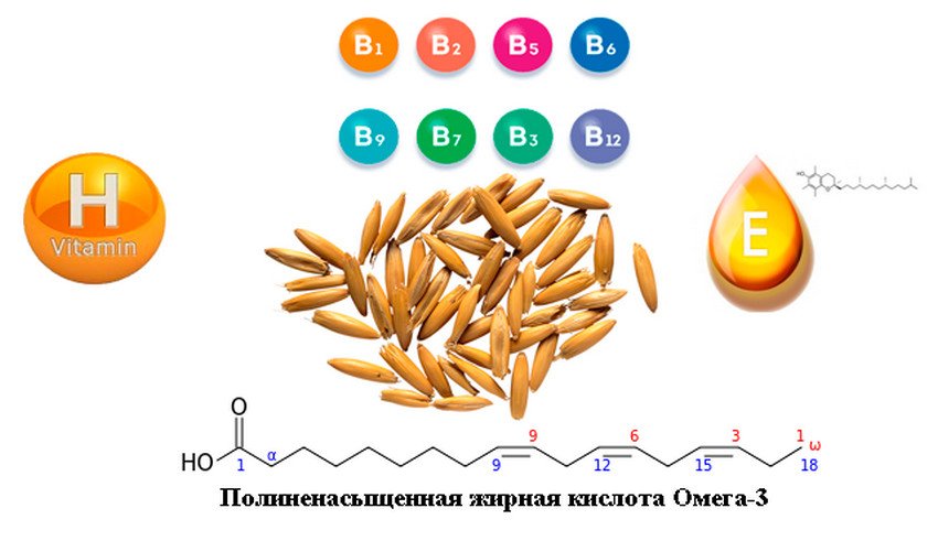 Хімічний склад вівса