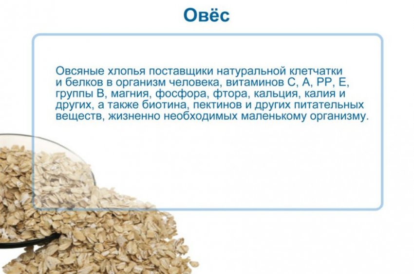 Корисні властивості вівса