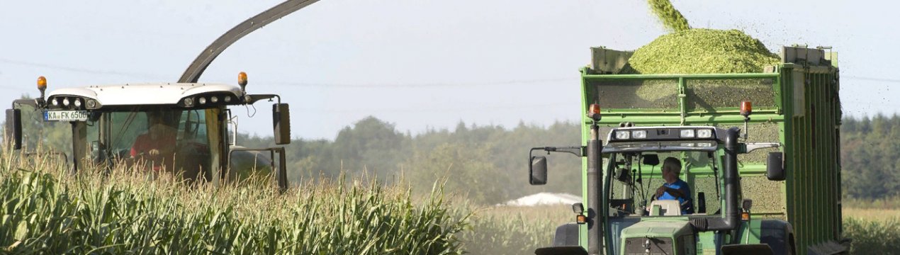 Обсяг ринку сільськогосподарських інокулянтів у 2020 році буде популярним серед бізнесу