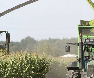 Обсяг ринку сільськогосподарських інокулянтів у 2020 році буде популярним серед бізнесу