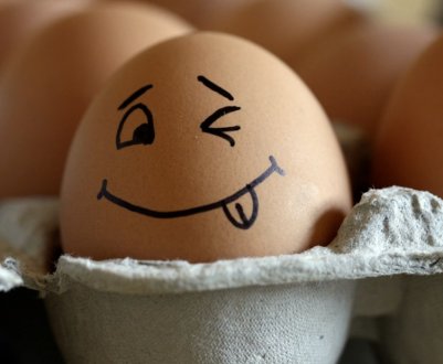 Кури несуть яйця без шкаралупи: чому і як це виправити?