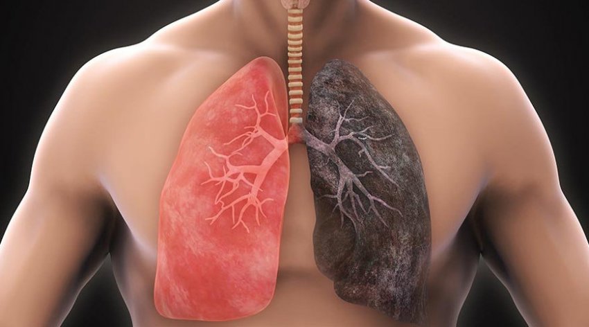 Очищення легень вівсом