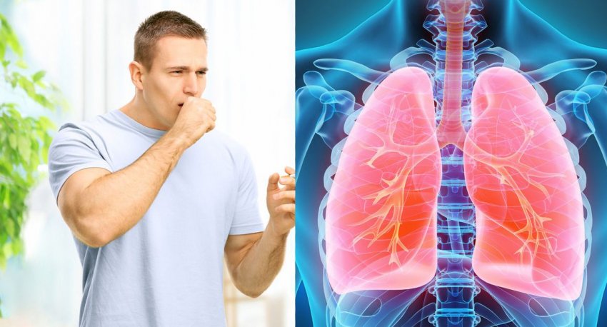 Очищення легенів вівсом