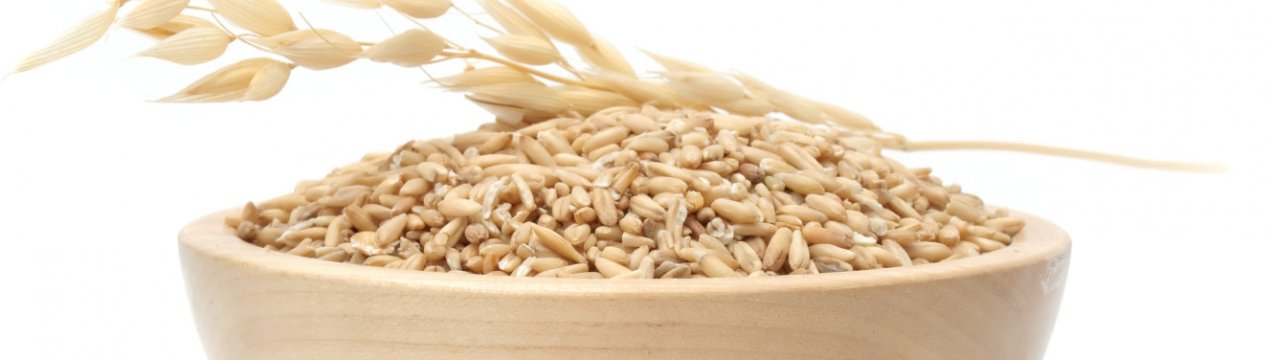 Очищення організму вівсом, правила заварювання та вживання