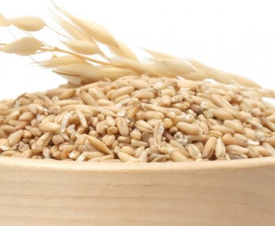 Очищення організму вівсом, правила заварювання та вживання