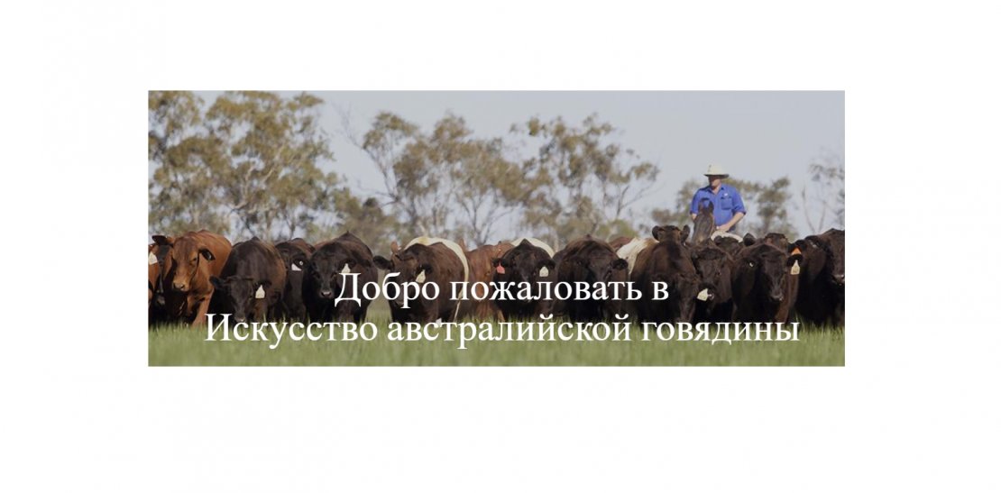 «AACo (Australian Agricultural Company)»