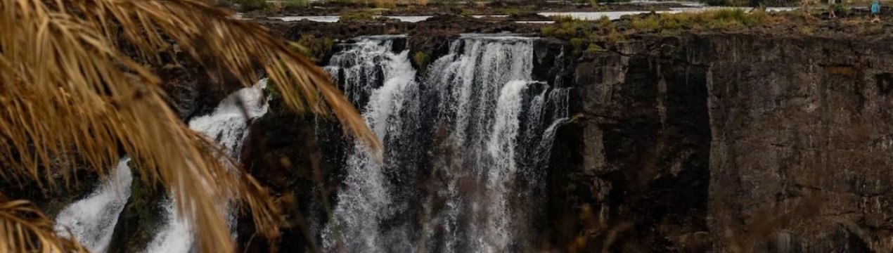 Населенню Зімбабве загрожує голод: країна зазнає найсуворішої посухи