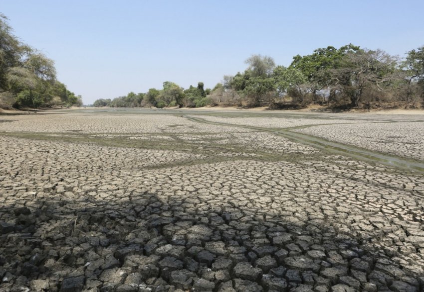Населенню Зімбабве загрожує голод: країна переживає найсильнішу посуху
