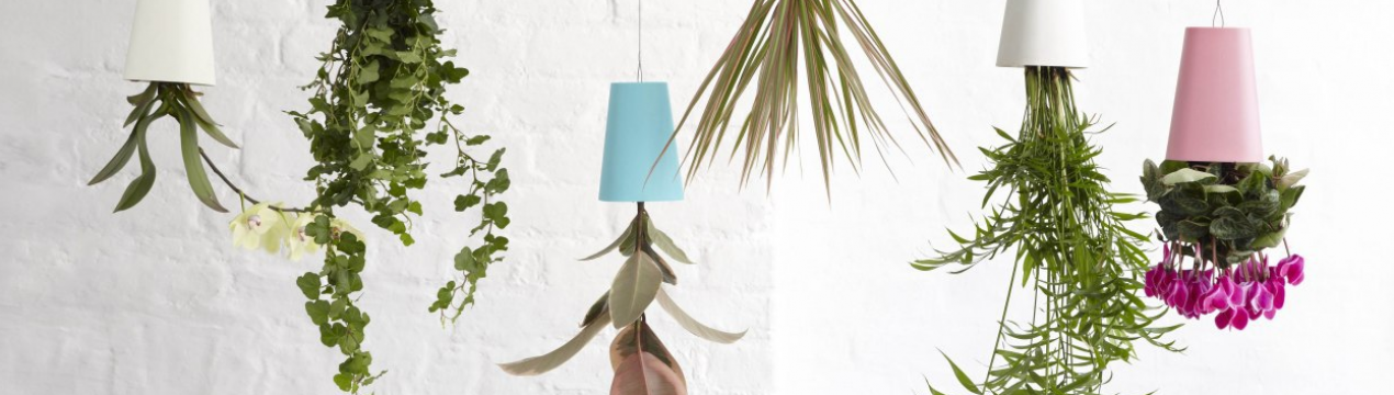 Найнезвичайніше вирощування рослин, або давай поговоримо про метод вирощування рослин догори ногами