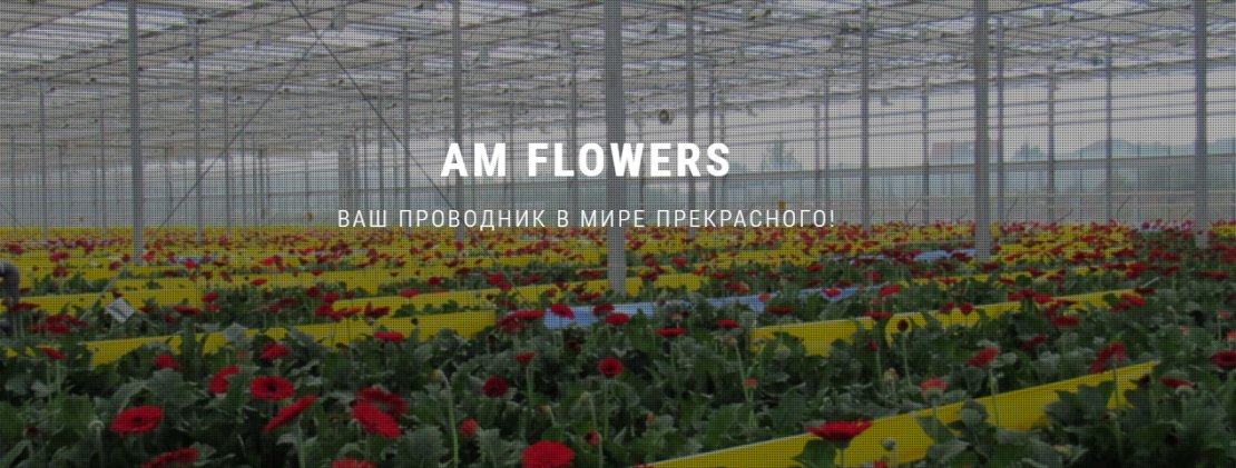 «AM FLOWERS»
