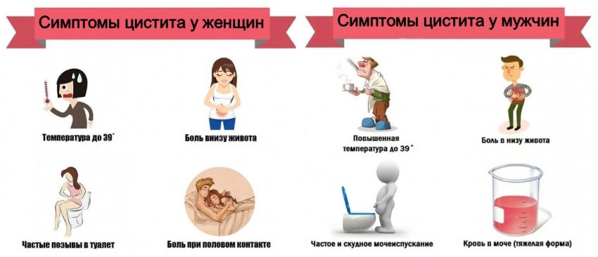 к какому семейству относится пшено. Смотреть фото к какому семейству относится пшено. Смотреть картинку к какому семейству относится пшено. Картинка про к какому семейству относится пшено. Фото к какому семейству относится пшено