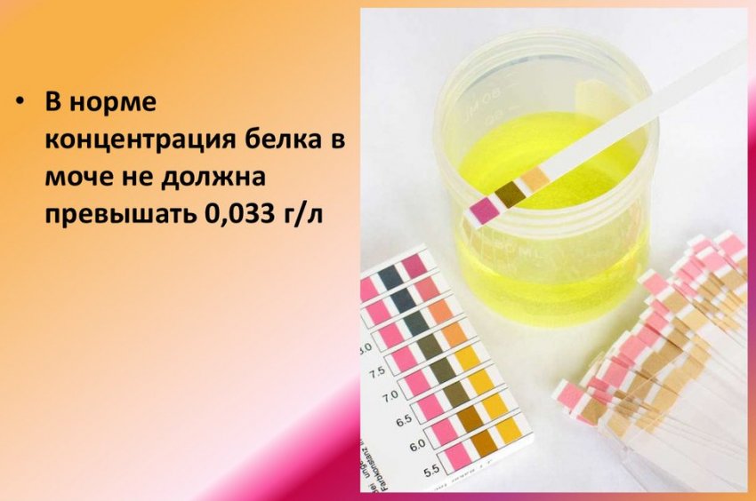 Продукт переработки какого злака является пшено Продукт переработки какого злака является пшено thumbnail