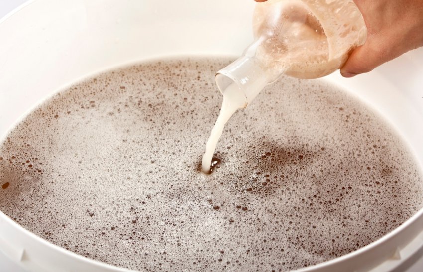 Внесення дріжджів у сусло Внесення дріжджів у сусло