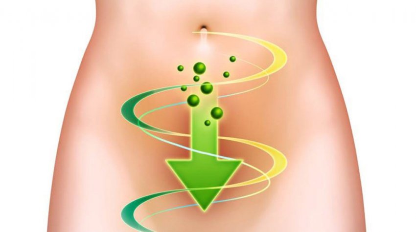 Очищення організму