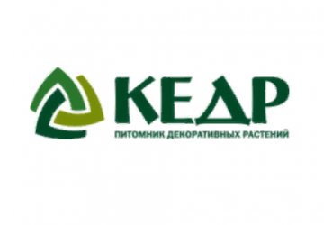 «Кедр»