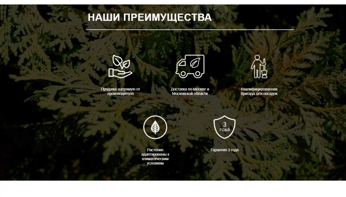 «Кедр»
