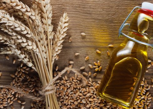 Корисні властивості та правила застосування олії зародків пшениці