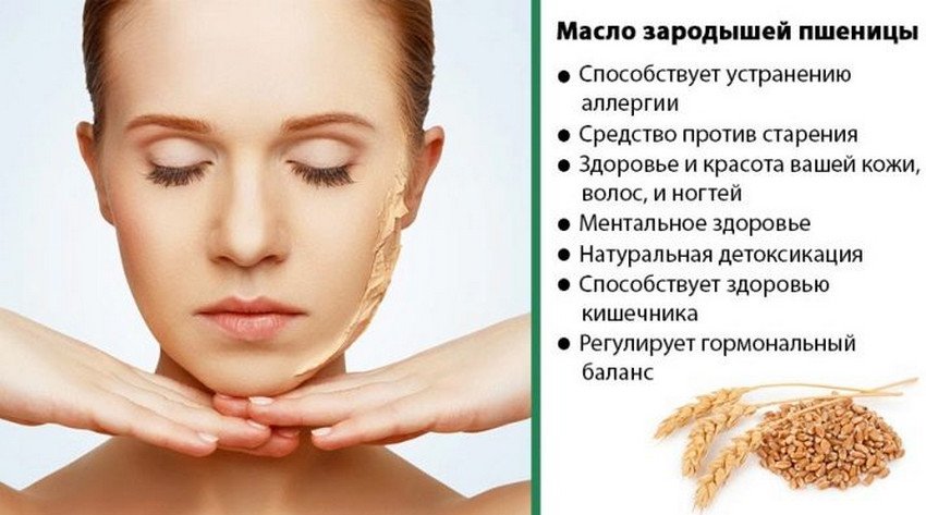 Корисні властивості олії зародків пшениці