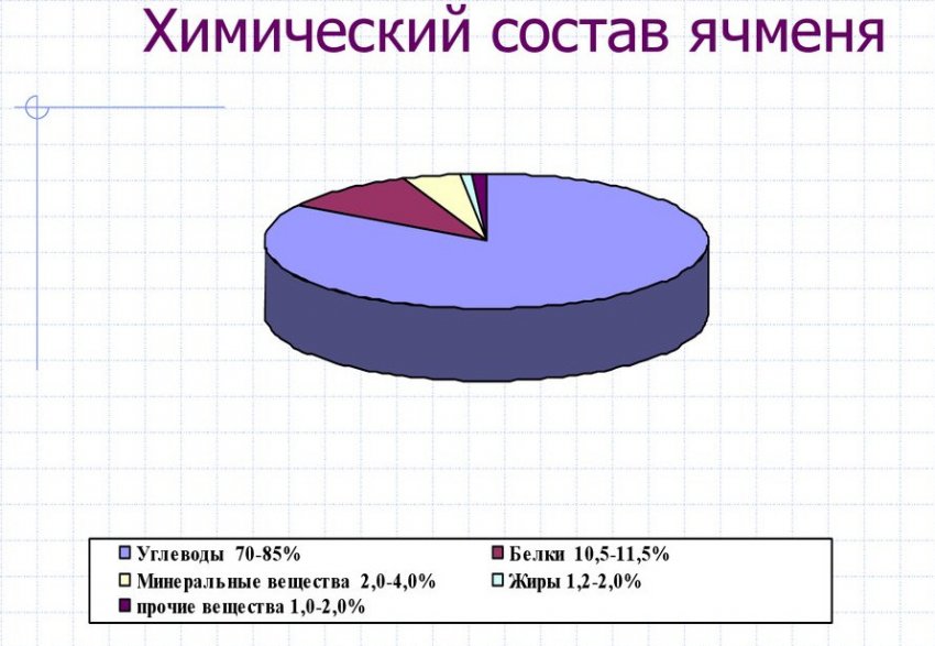 как проращивать ячмень в домашних условиях для еды. Смотреть фото как проращивать ячмень в домашних условиях для еды. Смотреть картинку как проращивать ячмень в домашних условиях для еды. Картинка про как проращивать ячмень в домашних условиях для еды. Фото как проращивать ячмень в домашних условиях для еды