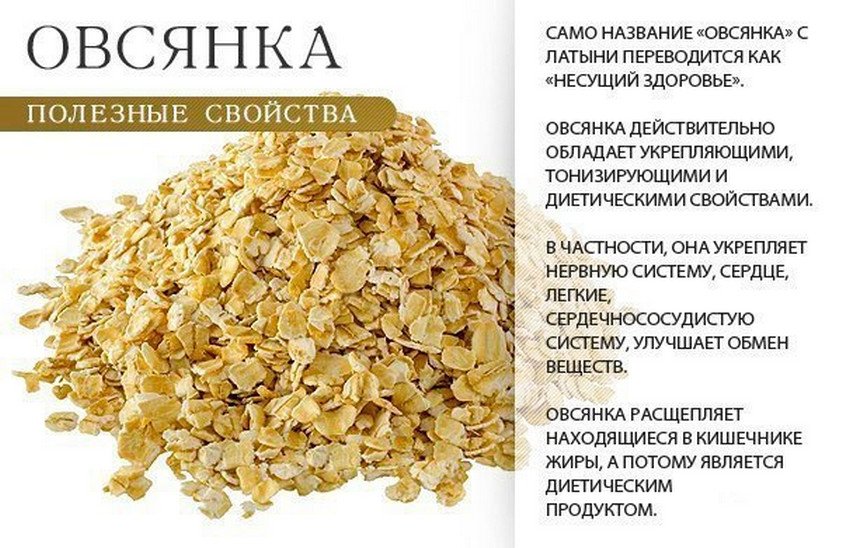 Полезные свойства овсянки