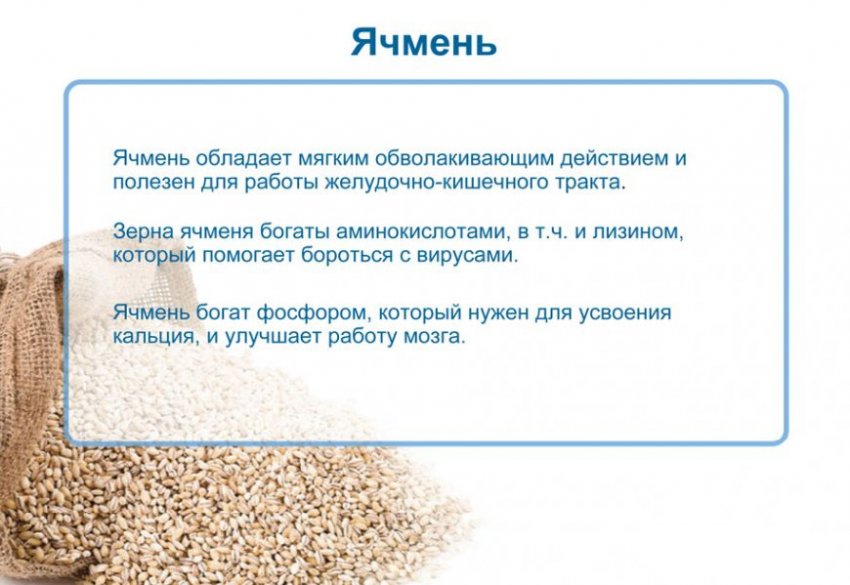 Чем отличается ячка отсечки. Смотреть фото Чем отличается ячка отсечки. Смотреть картинку Чем отличается ячка отсечки. Картинка про Чем отличается ячка отсечки. Фото Чем отличается ячка отсечки