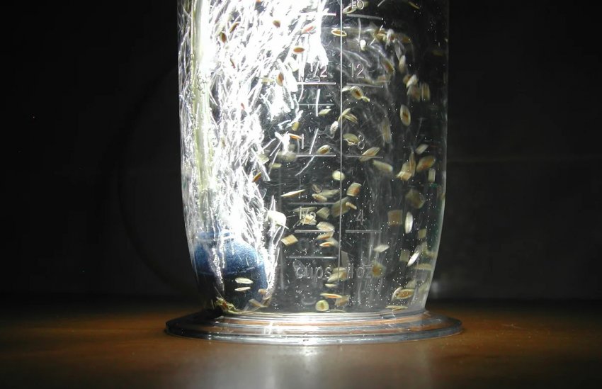 Барботування насіння Барботування насіння