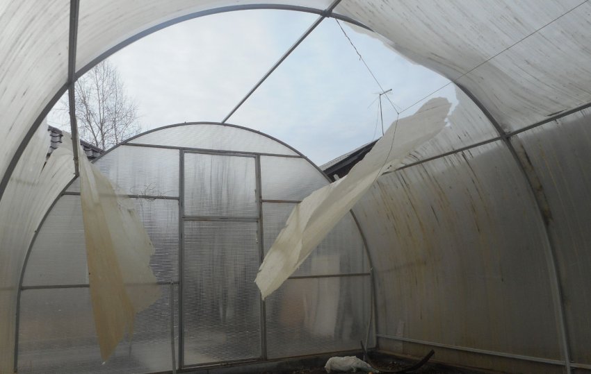 Ремонт теплиці після зимових пошкоджень Ремонт теплиці після зимових пошкоджень