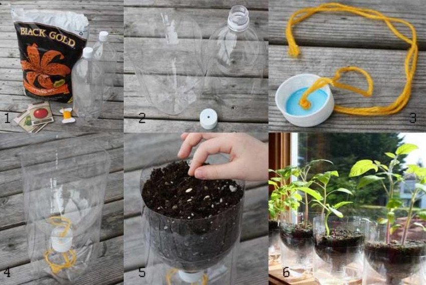 Легкий спосіб вирощування перцю Легкий спосіб вирощування перцю