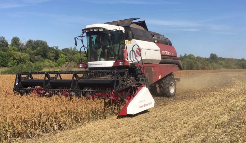 Скошування проса Скошування проса