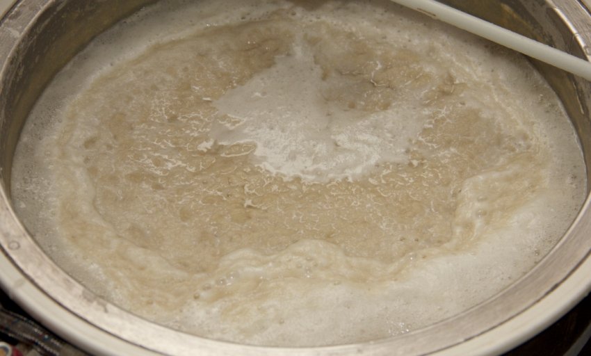 Закисание браги. Брожение зерновой браги. Рисовая брага. Брага на зерне. Брага из солода для самогона.