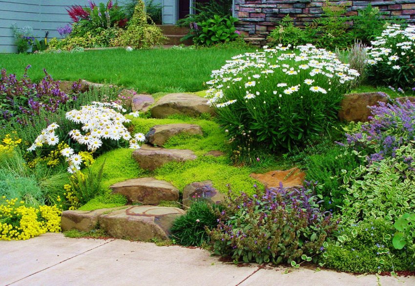 квітники на ділянці