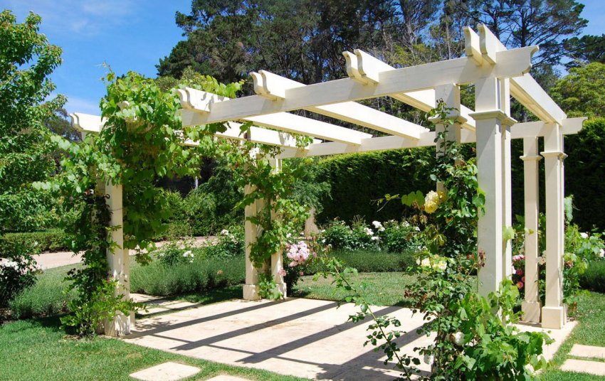 Пергола в ландшафтному дизайні