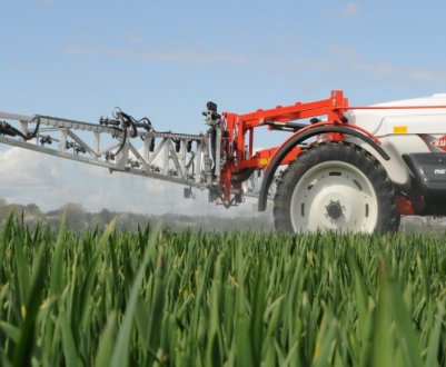 Принципи підживлення пшениці, правила внесення добрив