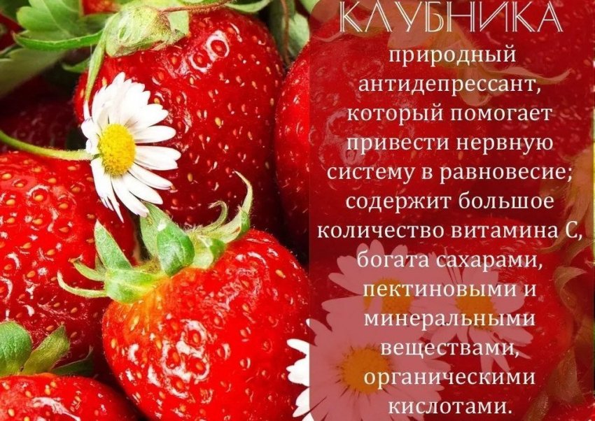 Корисні властивості полуниці Корисні властивості полуниці