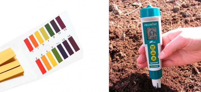 Визначення кислотності ґрунту Визначення кислотності ґрунту