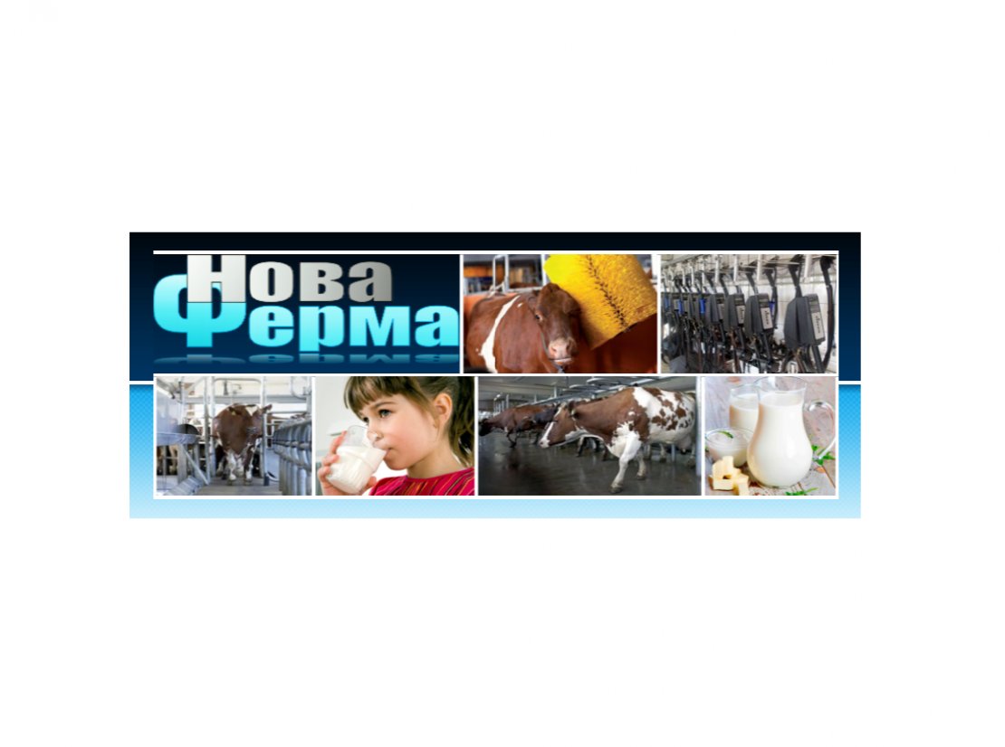 ТОВ «Нова Ферма»