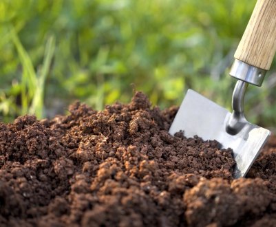 5 причин зниження родючості ґрунту