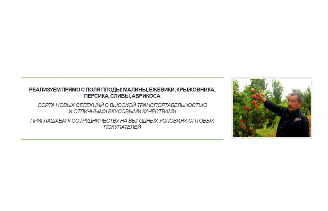 «Еко-Ягода»